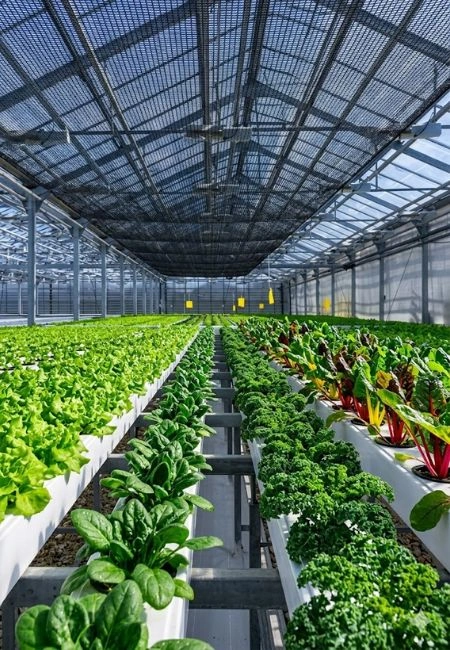 Butuh Paranet? Hubungi PT. Berkah Tirta Wahana