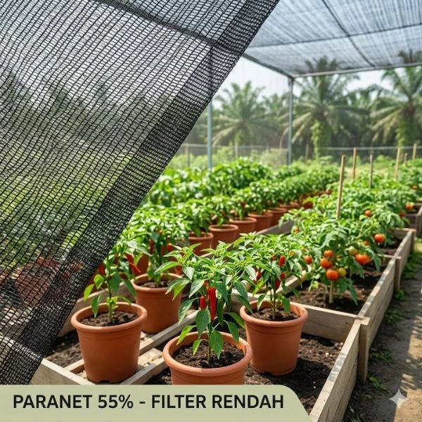 Butuh Paranet 55%? Hubungi Kami PT. Berkah Tirta Wahana