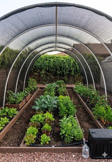 Butuh Paranet? Hubungi PT. Berkah Tirta Wahana