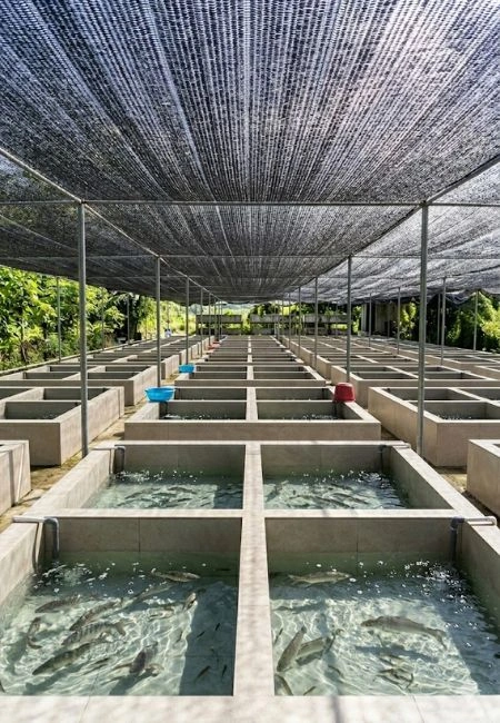 Butuh Paranet? Hubungi PT. Berkah Tirta Wahana